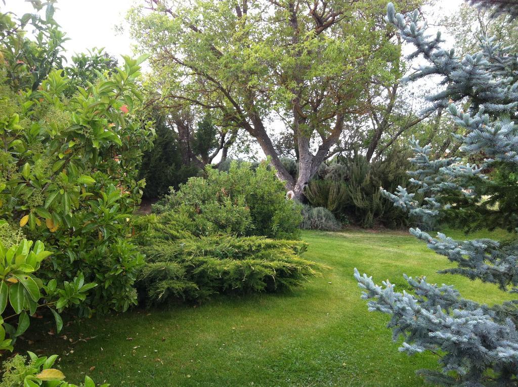 Villa La Alberca à Palencia Extérieur photo