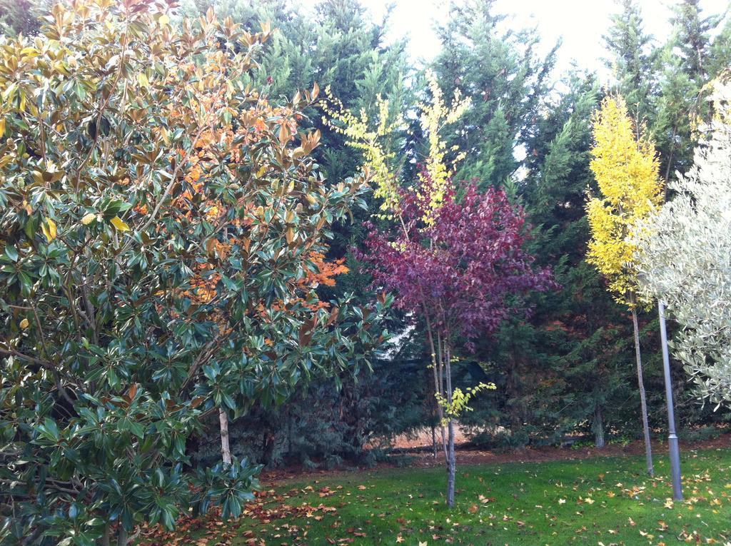 Villa La Alberca à Palencia Extérieur photo